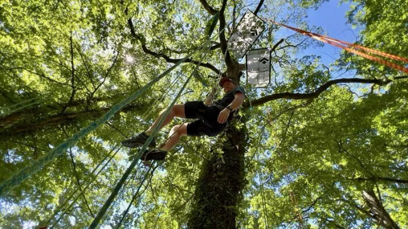 Stages à la Journée «Devenir Grimpeur d'Arbres»