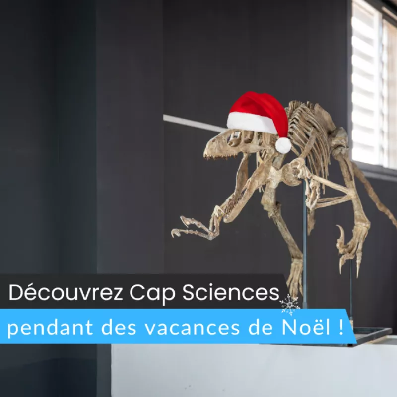 Découvrez le Programme des Vacances de Noël à Cap Sciences 