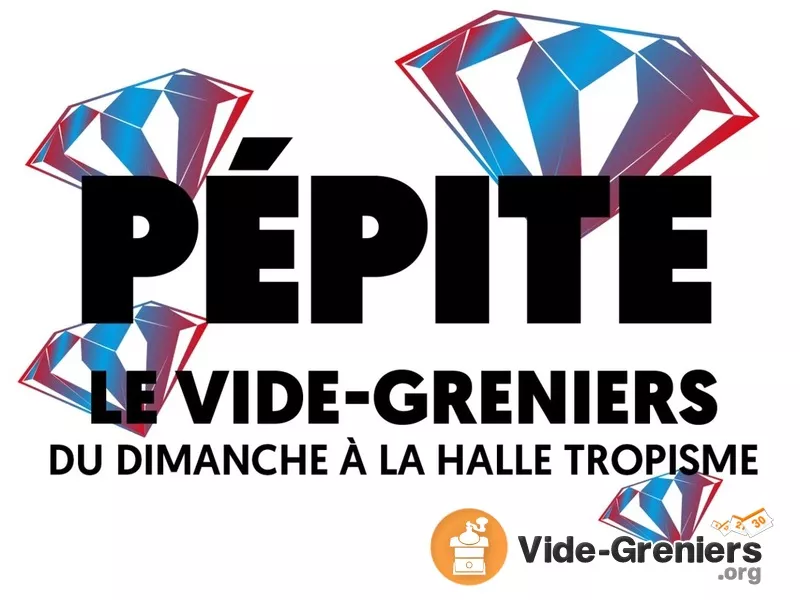 Pépite le Vide-Greniers de Tropisme