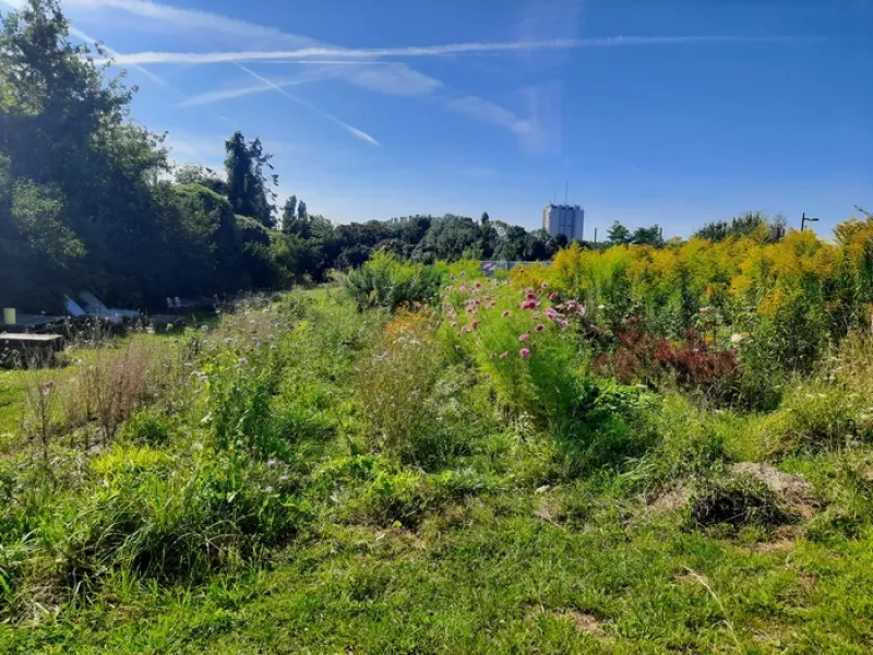 Journées du Matrimoine-Visite Ferme Florale