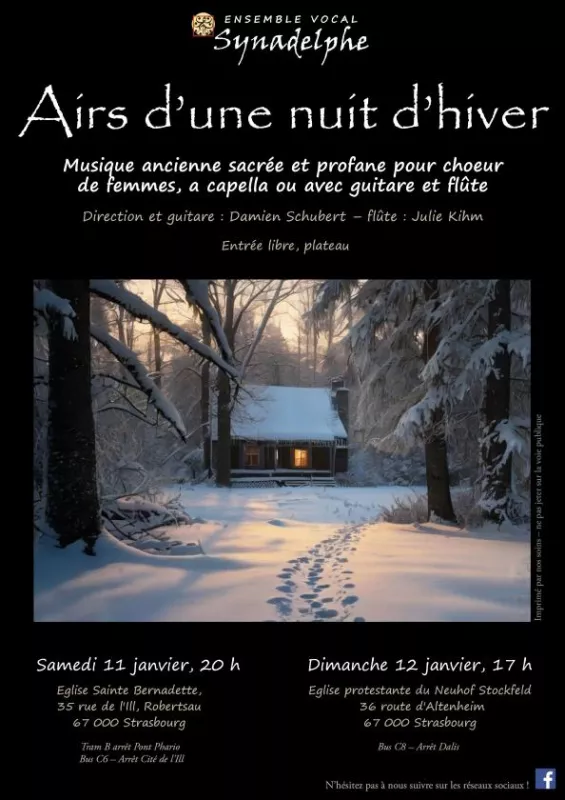 Concert «Airs d'une Nuit D'hiver»