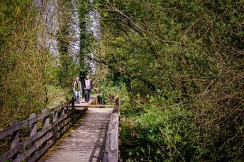 Balade Naturaliste : Patrimoine Naturel