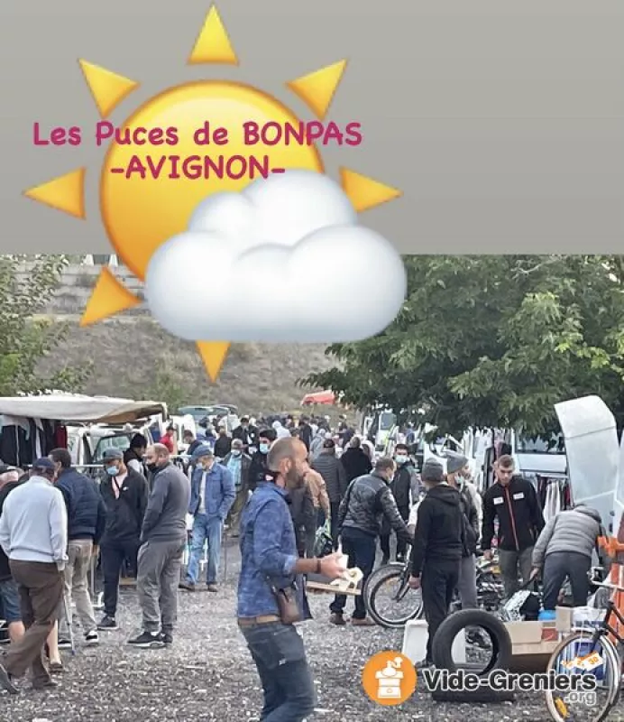 Grand Marché Aux Puces de Bonpas-Avignon -
