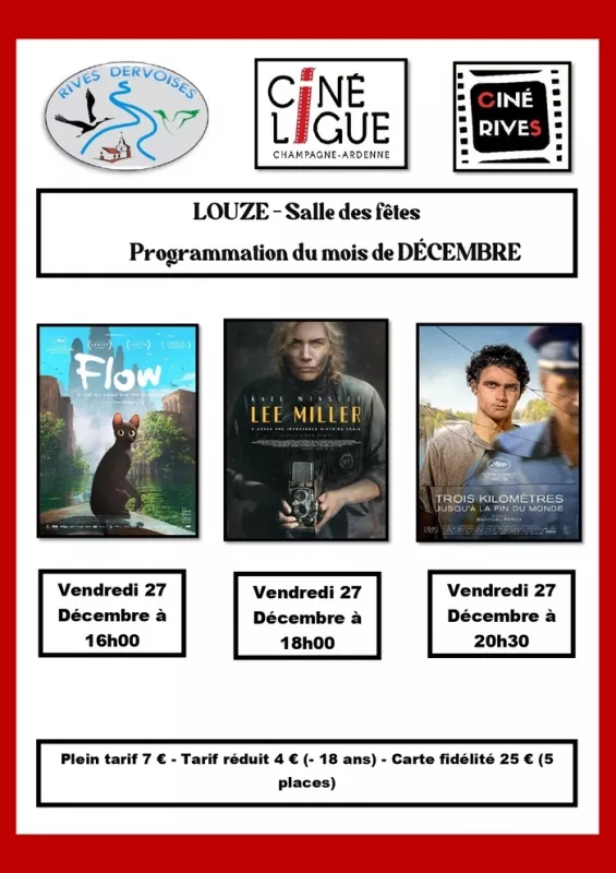 Soirée Cinéma à Louze