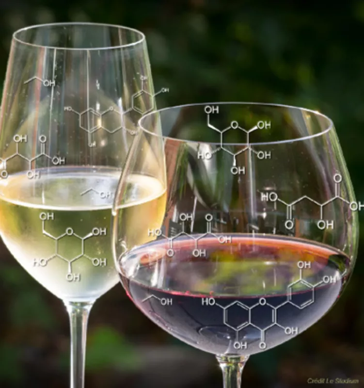 Conférence : le Vin et la Chimie