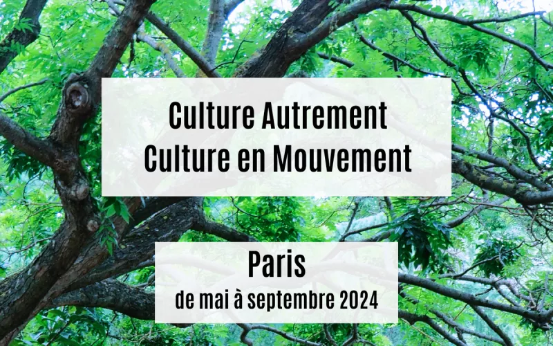 Culture Autrement-Atelier Vidéo-Pocket Films-Marie Désert
