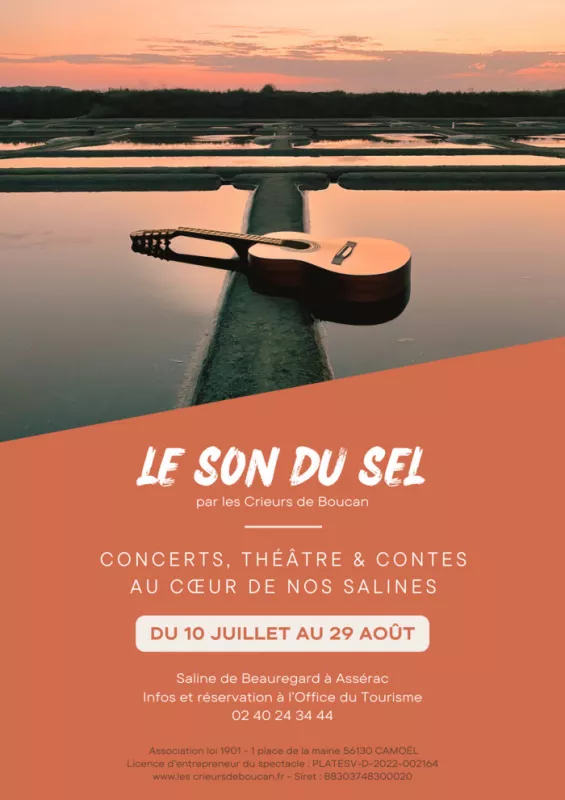 Le Son du Sel-Théâtre d'Improvisation