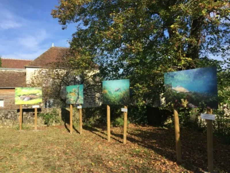 Exposition de Photos Sous Marine