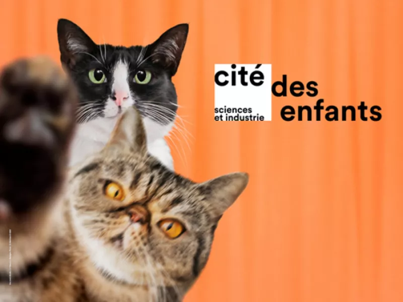 Cité des Enfants 2/7 Ans