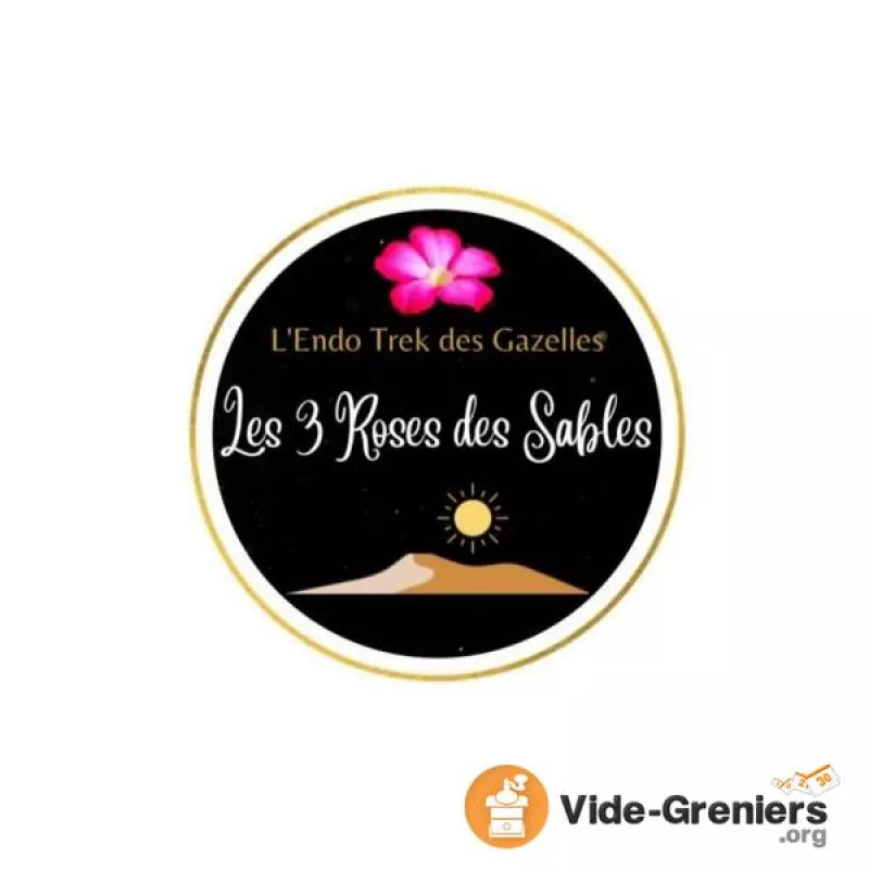 Vide Grenier-les 3 Roses des Sables