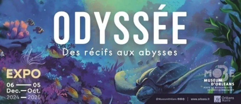 Visite Guidée en Famille-Exposition «Odyssée, des Récifs Aux Abysses»