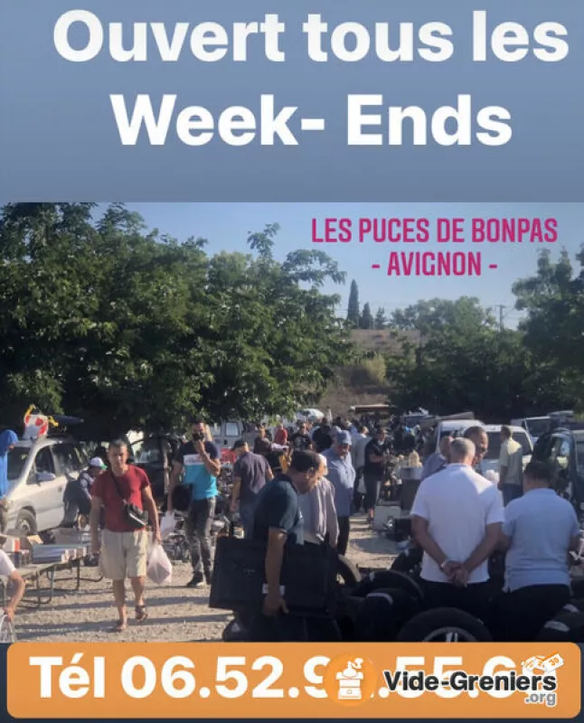 Avignon-les Nouvelles Puces