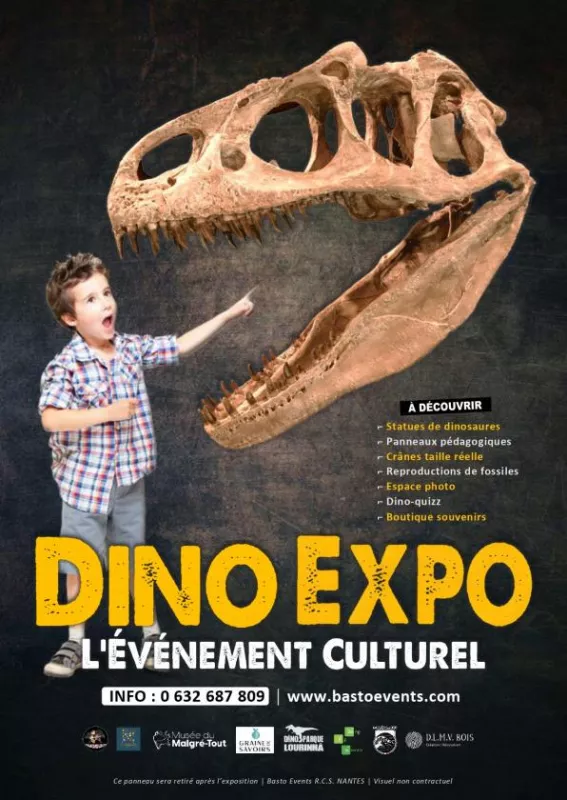 Dino Expo