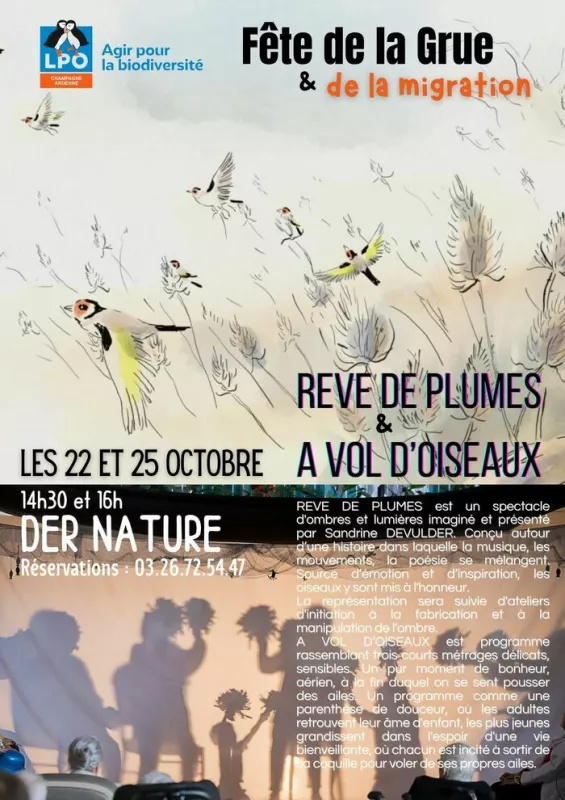 Rêves de Plumes et a Vol d'Oiseaux