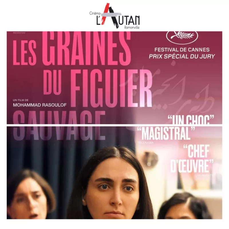 Les Films Attendus