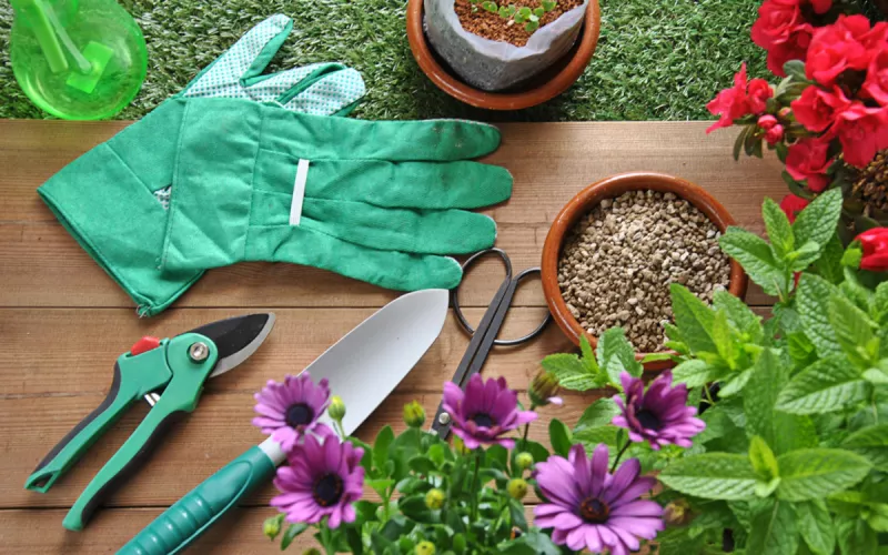 Le Rendez-Vous du Jardinier [ Octobre 2024 ]