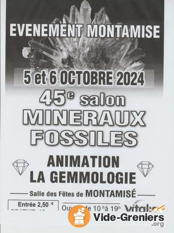 45 Ème Salon des Minéraux et Fossiles