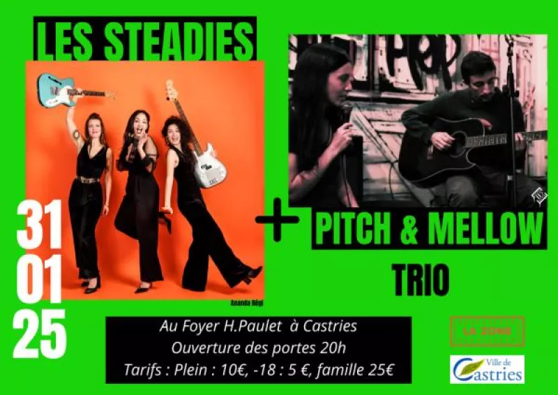 Reggae Night-Pitch-Up + les Steadies