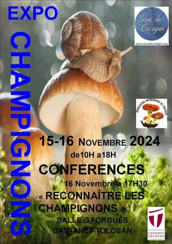 Exposition et Conference