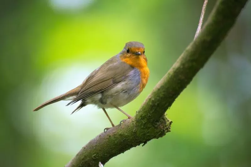 Repères Scientifiques pour Comprendre Notre Environnement Vital