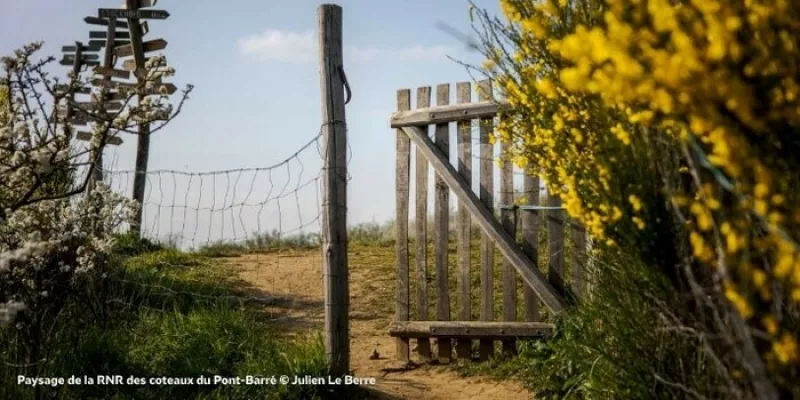 La Réserve : Ses Arbres et Son Bois