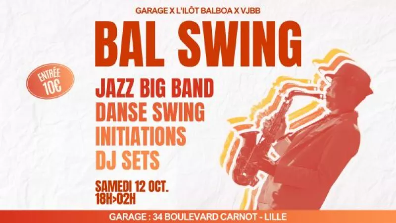 Garage Bal Swing