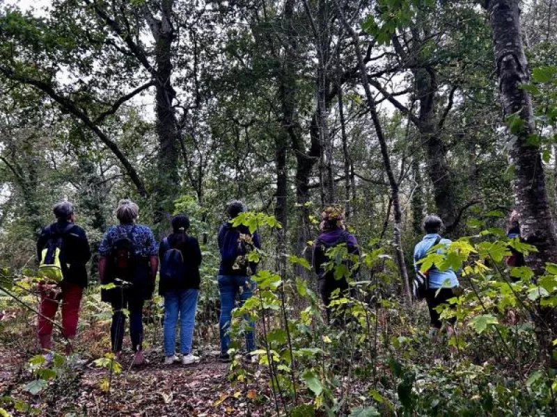 1, 2 ou 3 Bain(S) de Forêt  Choisissez 