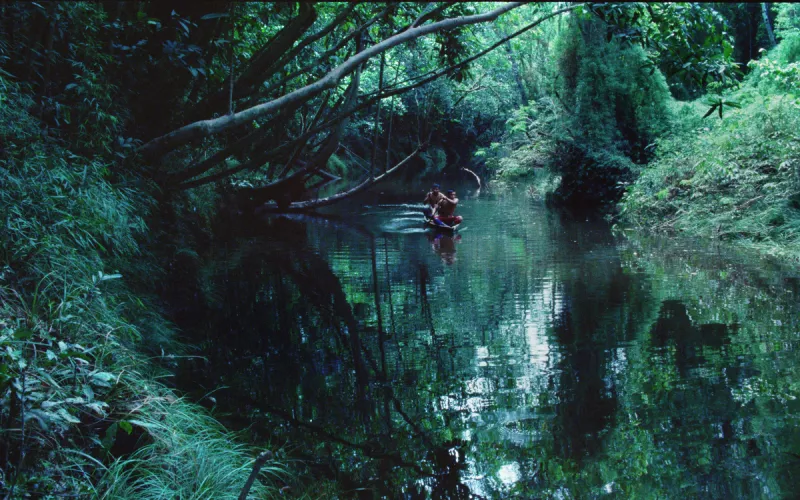 Projection & Rencontre avec L’artiste Théo de Gueltzl