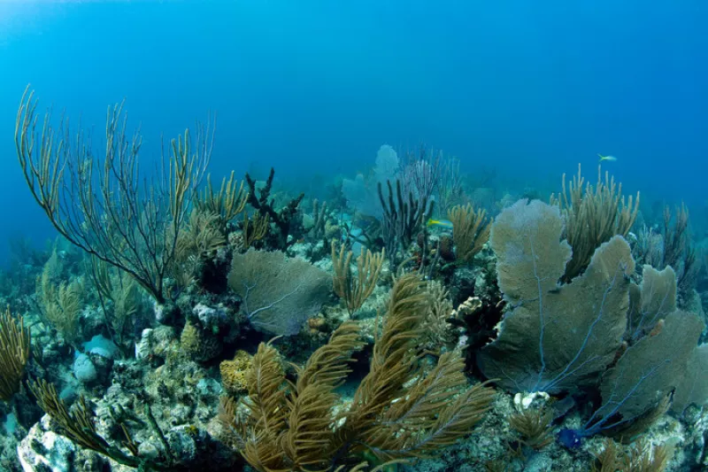 Conference : a la Découverte des Mystères de l'Océan