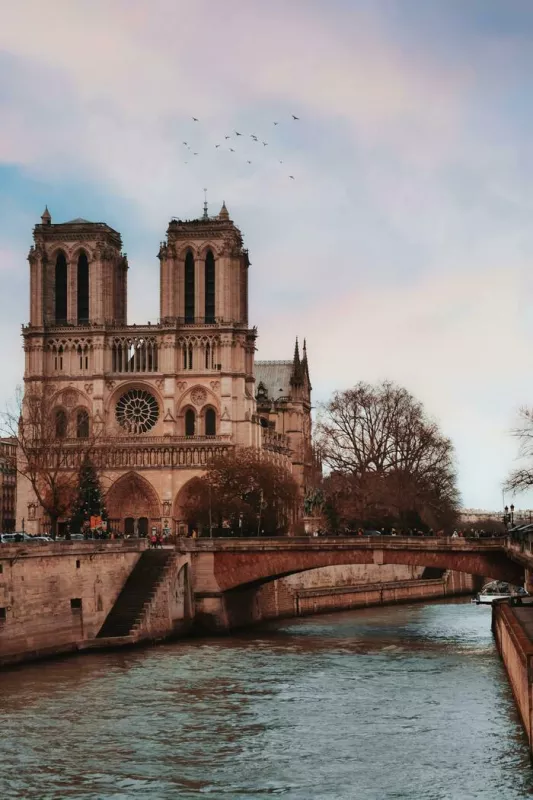 Documentaire sur le Chantier de Notre Dame