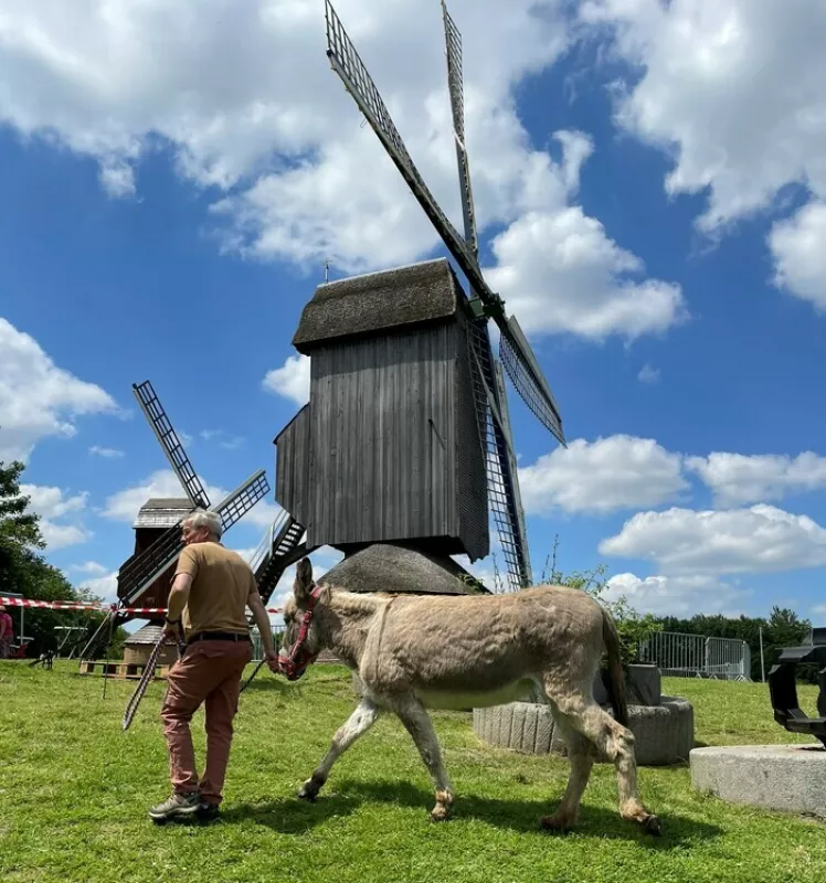 Spectacle «l'Âne Cadichon» au Musée des Moulins