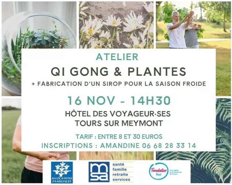 Atelier Qi Gong & Plantes