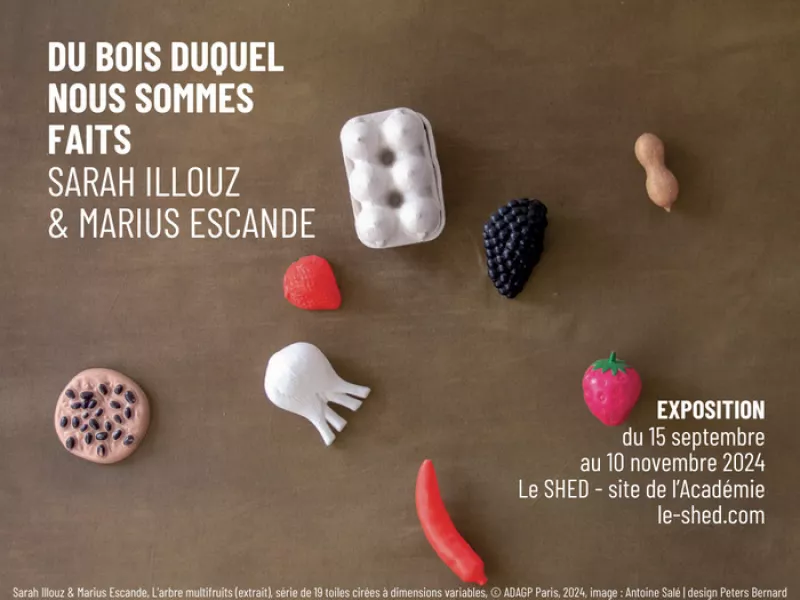 Exposition «du Bois Duquel Nous Sommes Faits»