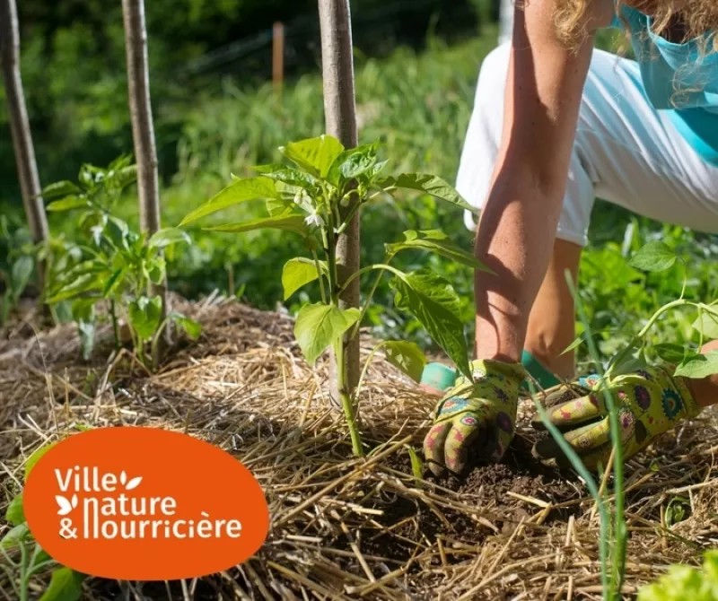 Préparer Son Sol pour L'hiver