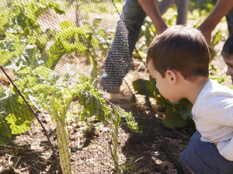 Atelier Jardinage