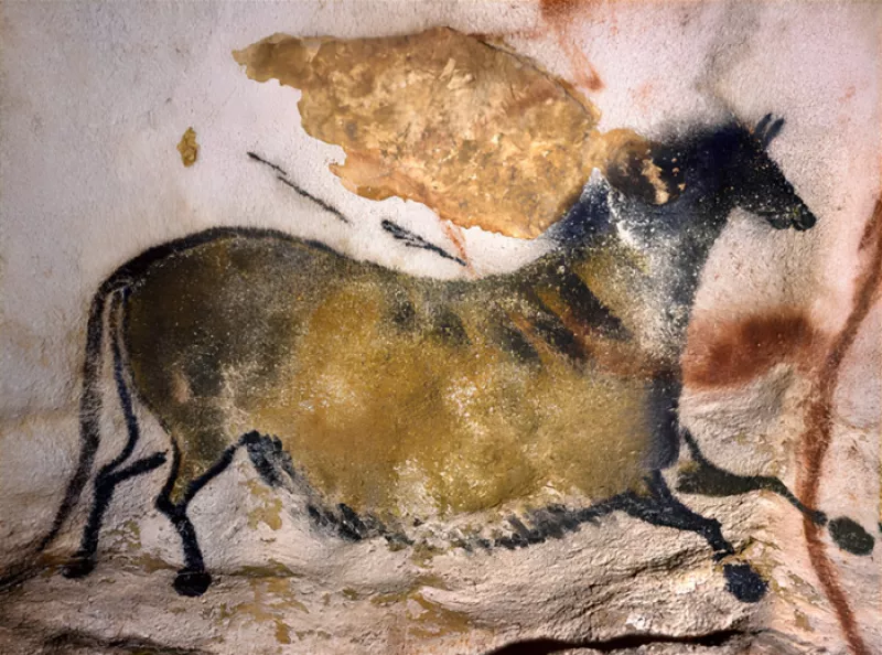 Conférence «Pourquoi Lascaux ?»