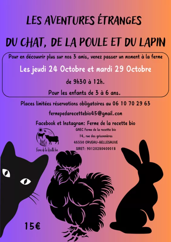 L'Étrange Aventure du Chat, de la Poule et du Lapin