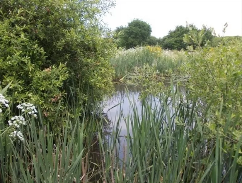 Entre Men Ar Mor et le Marais du Branzais