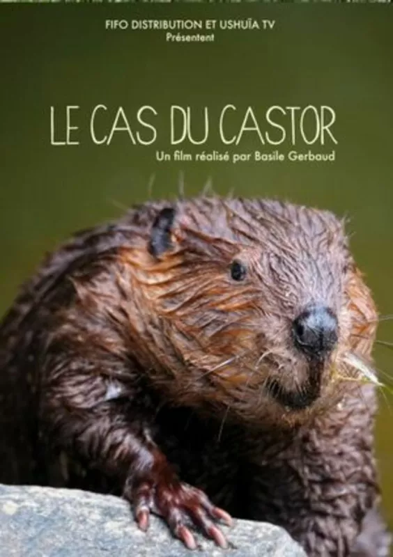 L'Année du Castor