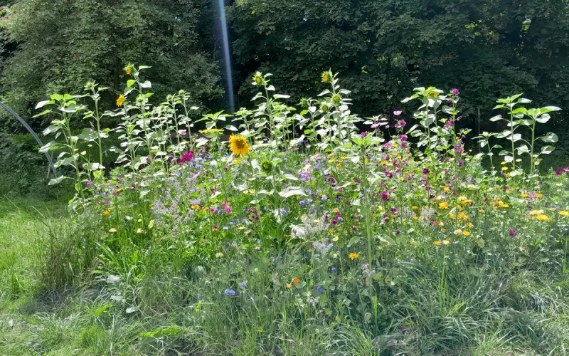 A l'École de la Permaculture