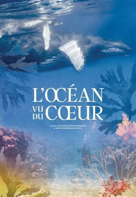 Projection du Documentaire l'Océan Vu du Coeur Débat-Rencontre avec le Biologiste Christian Sardet