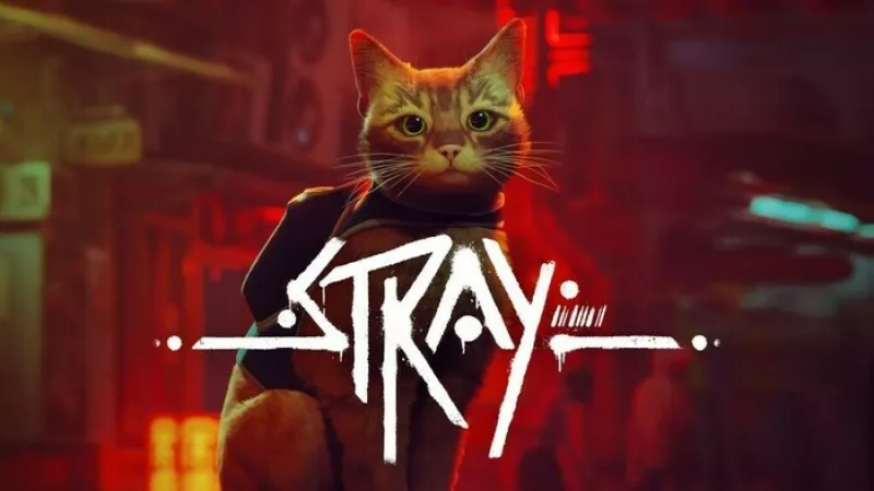 Jeux Vidéo Découverte Grand Format «Stray»