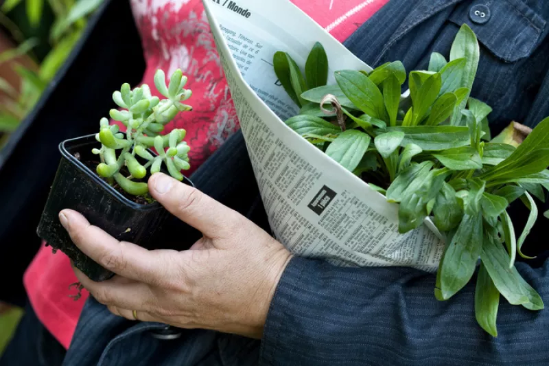 Bourse D’échange de Plants