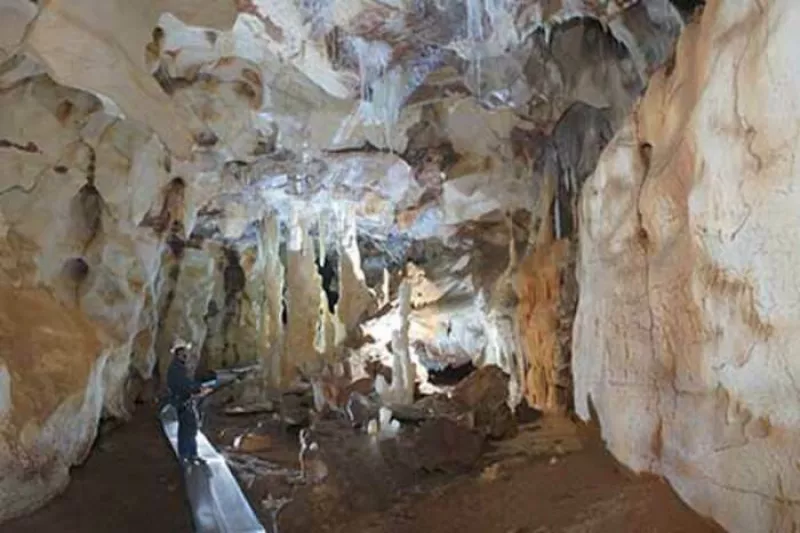 Grotte Chauvet, l'Aventure Scientifique