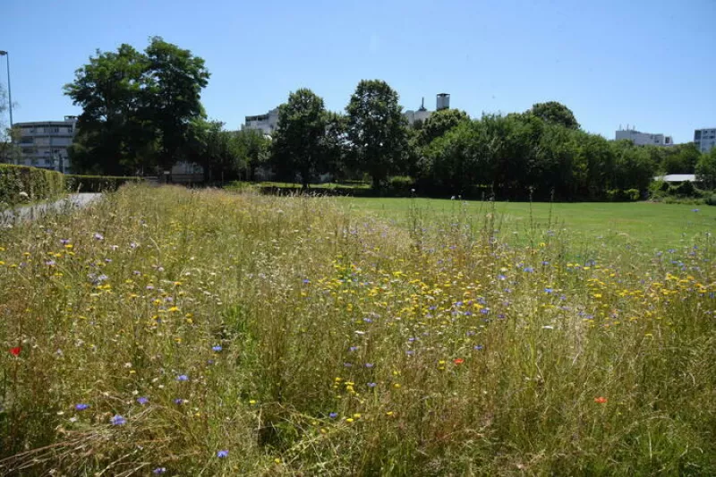 Balade Immersive dans la Gestion D’une Ville Nature et Nourricière