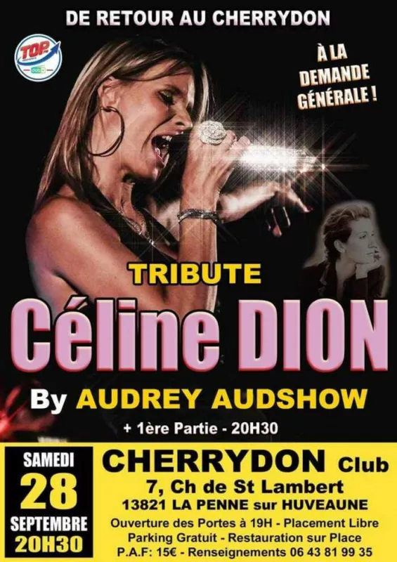 Tribute Live Celine Dion