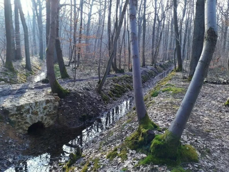 Visite du Réseau Hydraulique du Domaine Royal de Meudon en Forêt de Meudon