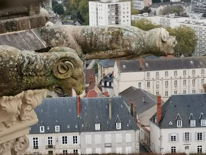 Visite Guidée : la Cathédrale de Bas en Haut