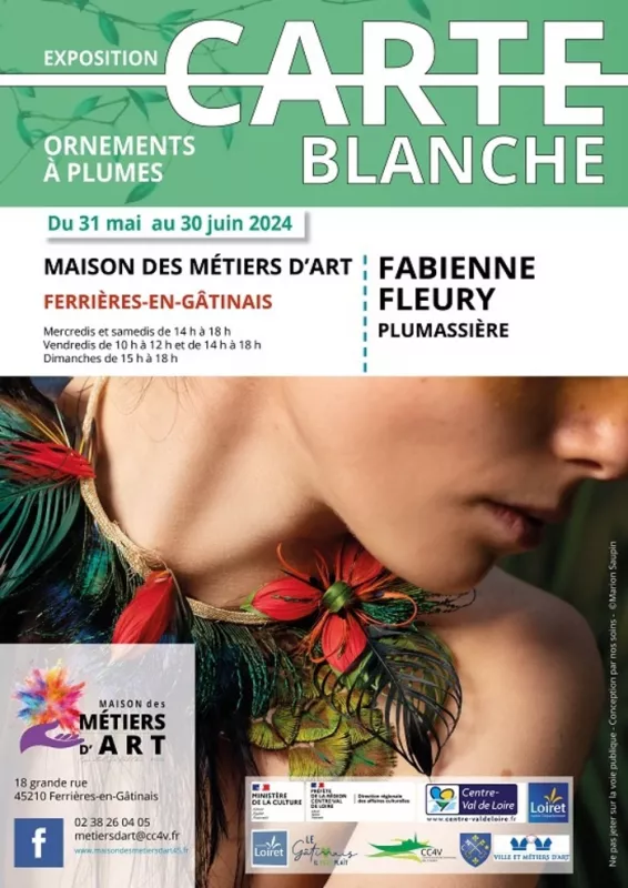 Exposition Carte Blanche : «Ornements à Plumes» Fabienne Fleury