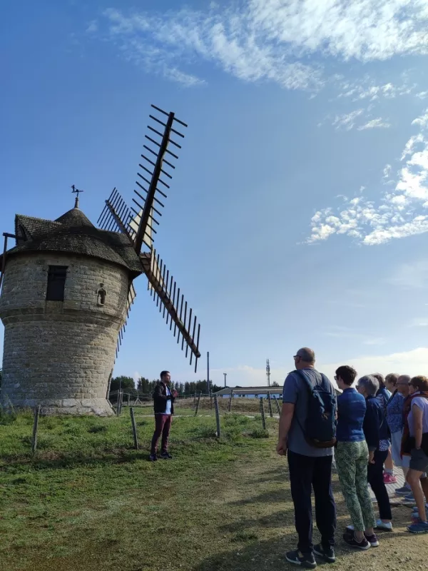 Journées du Patrimoine-Visites Gratuites du Moulin de la Falaise